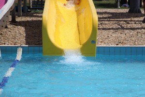 IMG 0415